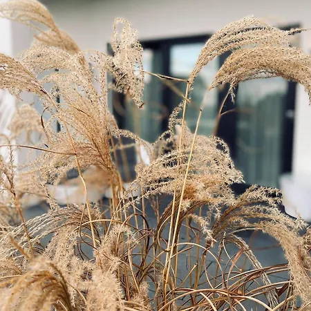 Strandhotel Luv Ξενοδοχείο 4*