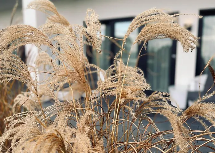 Strandhotel Luv Szálloda 4*